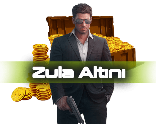 ZULA ALTIN_banner